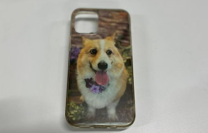 Sample_SmartPhoneCase