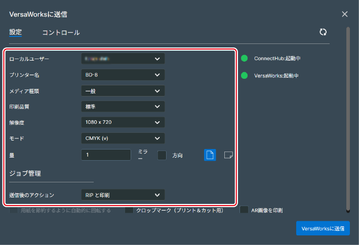 Designer_PrintSetting
