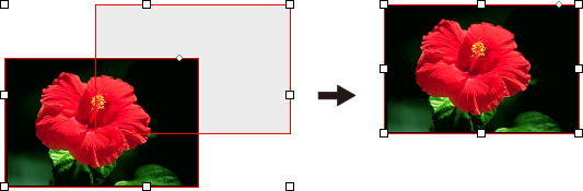 prac_layer_rect-image-position