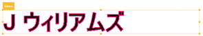 NameSample